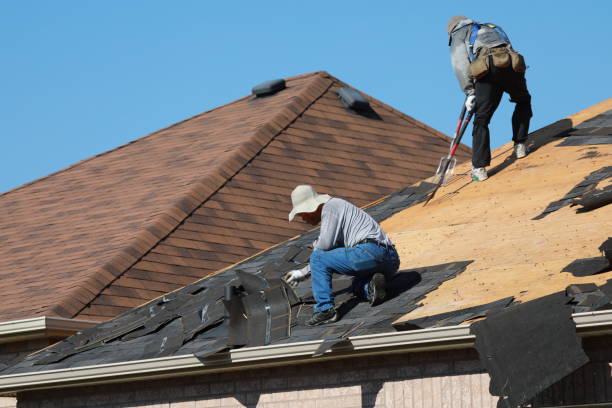 Best Roof Coating and Sealing  in Orland Hls, IL