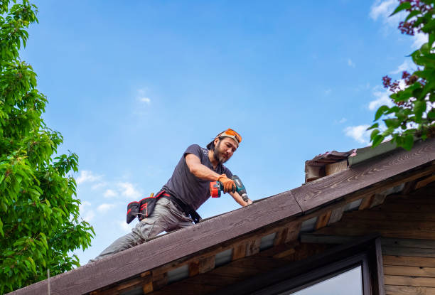 Best Gutter Installation and Repair  in Orland Hls, IL