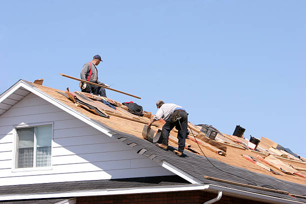 Best Roof Insulation Installation  in Orland Hls, IL