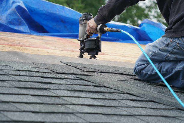 Best Rubber Roofing (EPDM, TPO)  in Orland Hls, IL